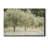 " Paintograph Olive Trees "-704303271