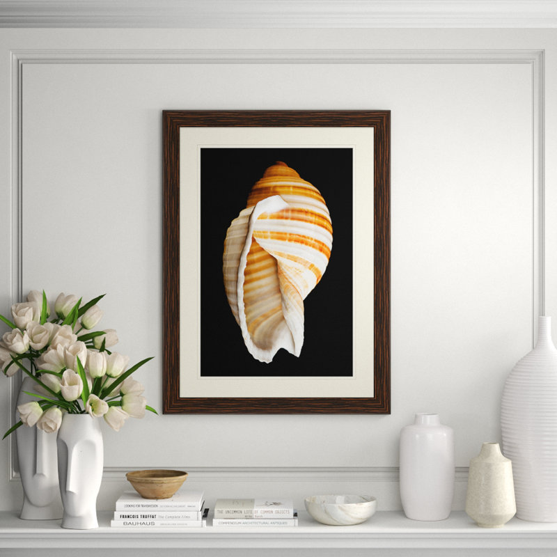 Large Shell " Large Shell 7 "