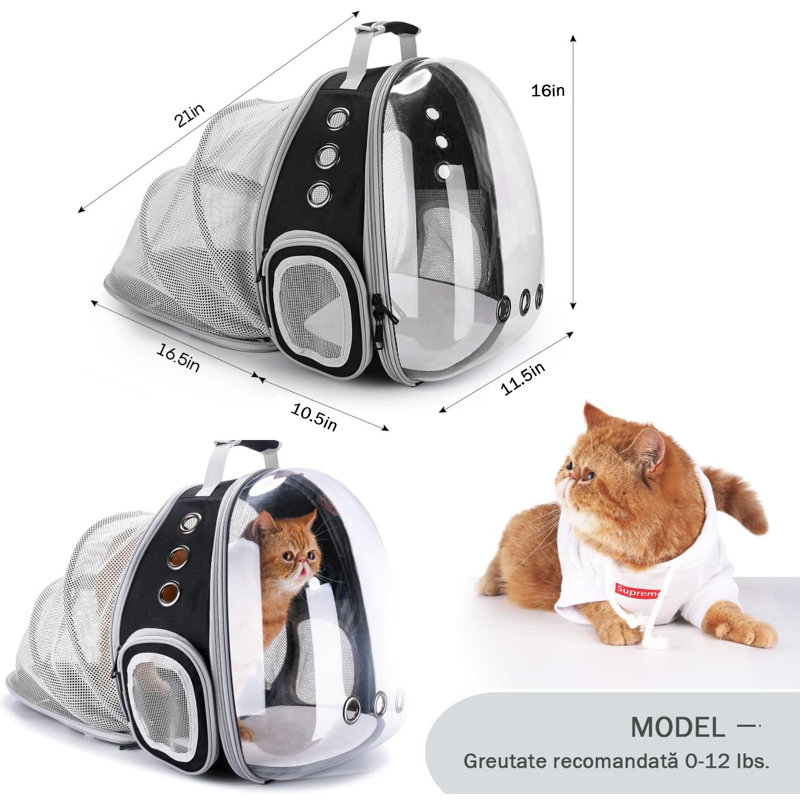 Sac à dos pour chat extensible, sac à dos pour animal de compagnie MaSiLuo