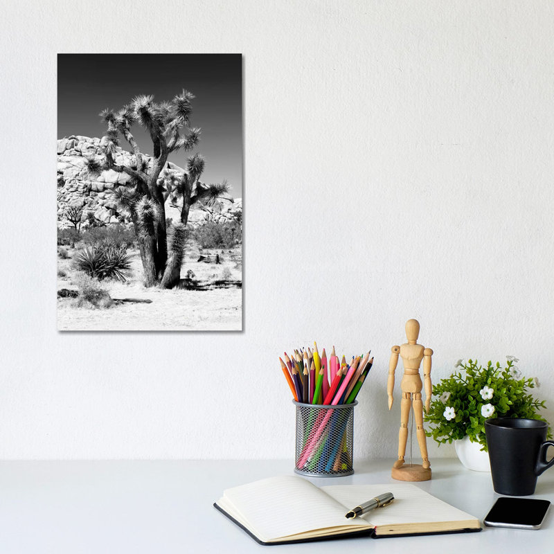 Black California Series - Beautiful Joshua Tree - Wrapped Canvas Print, 20.32 cm H x 30.48 cm W