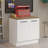 Latitude Run Compact Garage and Utility Room Base Storage Cabinet with 2 Doors and Tool Storage Shelves 33 Inch Wooden Organization Unit - White
