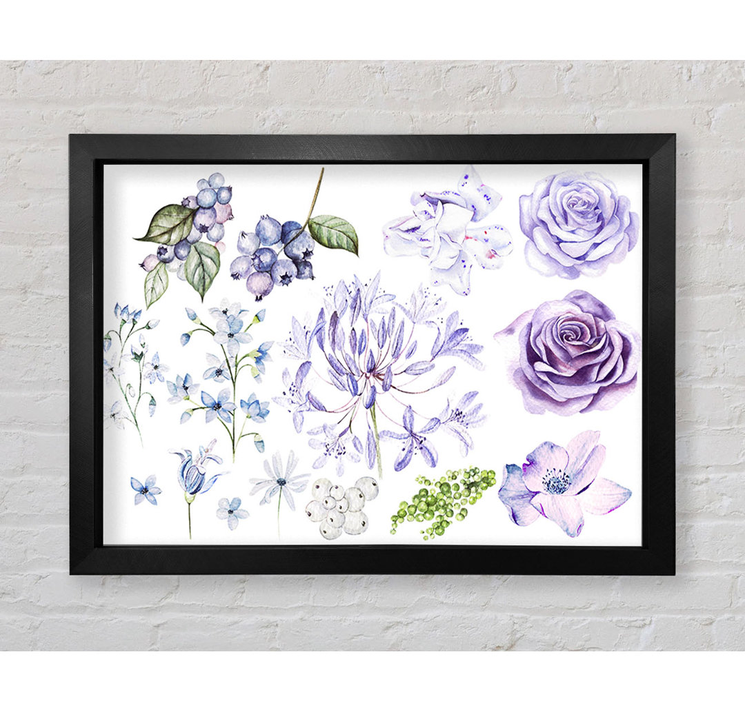 The Lilac Flower Collection - Einzelne Bilderrahmen Kunstdrucke