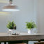 Fausse plante en pot 10 po