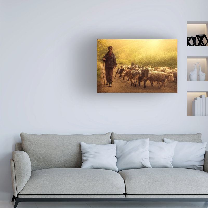 Art sur toile Bojan Dzodan Shepherd, H 12 po x l 19 po
