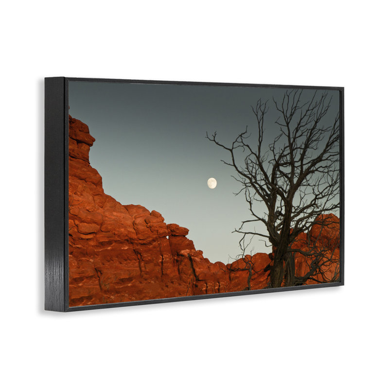 «Full Moon Canyon», estampe numérique de Jadei, H 12 po x l 18 po, Giclée encadrée noir minuit