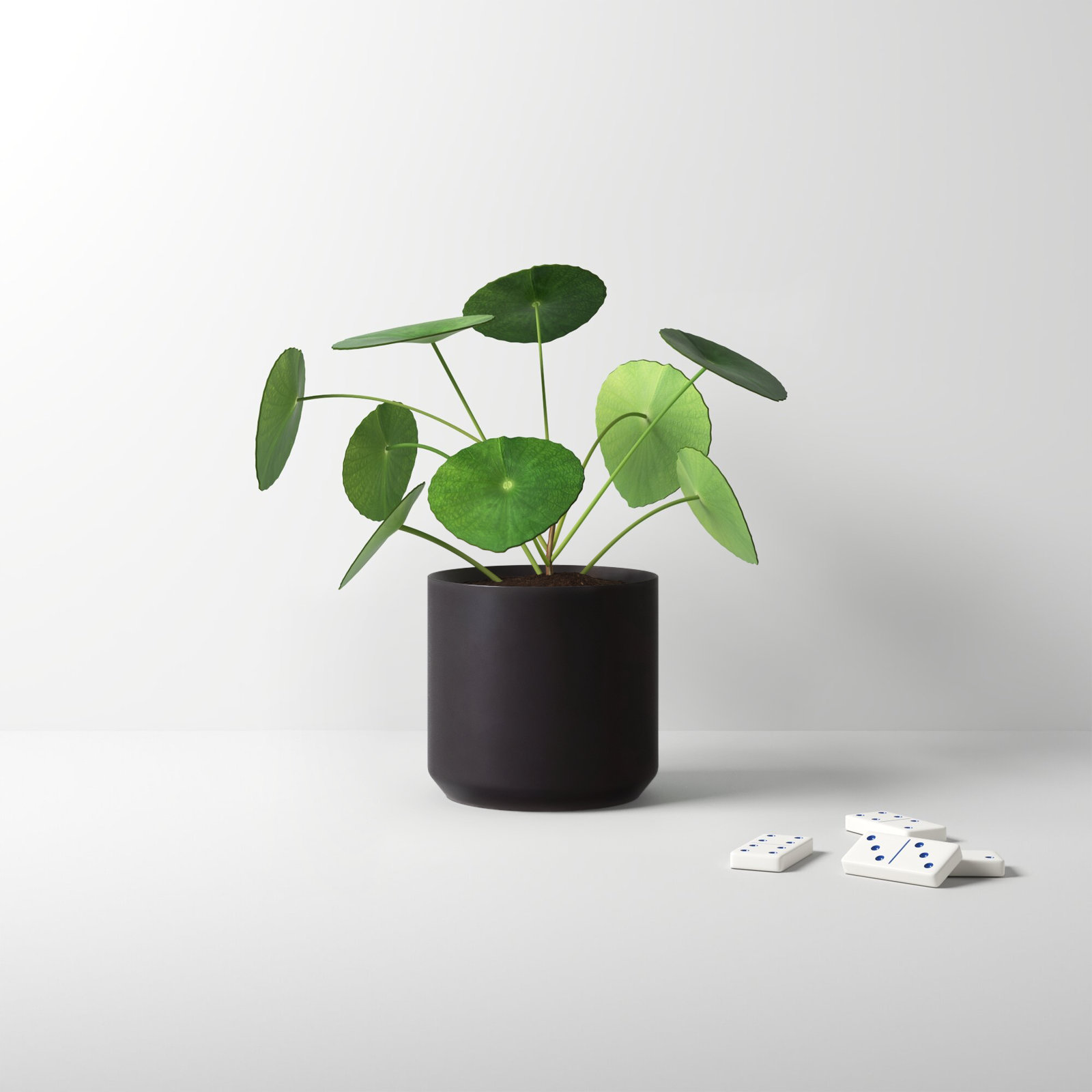 Parsons Ceramic Pot Planter, Black, 6.75" H x 7" W x 7" D