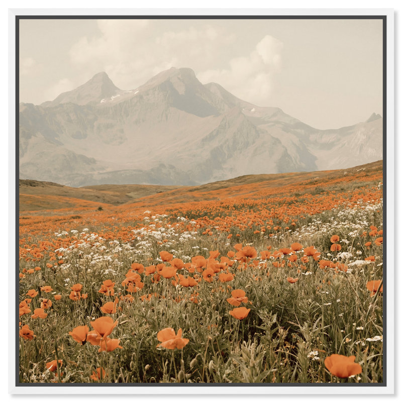 Orange Poppies by Oliver Gal, 31" H x 31" W, White Floater Frame