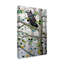 «Misty Aspen» par Fazulla, impression sur toile tendue-27491958