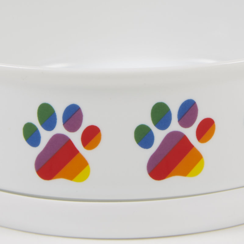 Rainbow Paw Bowl, Grand (2 tasses / 3,75 oz liquide)