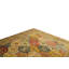Wool Oriental Area Rug