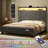 Hudepohl Upholstered Wingback Bed with 52.12" High Storage Headboard, Modern Upholstered Bed Frame with Outlet & LED Light-1636301564-1644785087