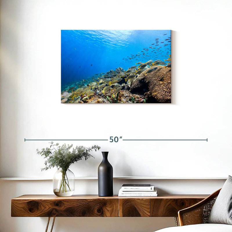 St. lucia ocean life Aletra, H 20 po x l 30 po