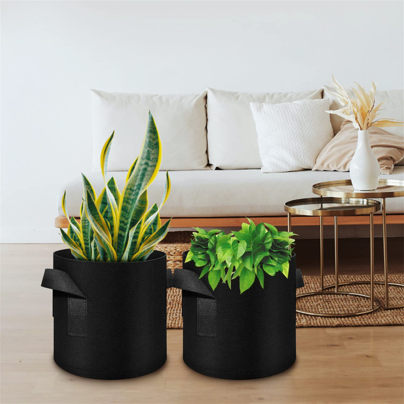 Planter Box