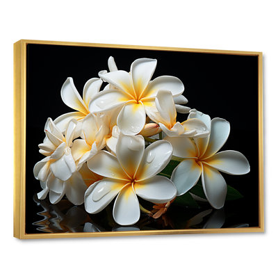 Blanc pureté de Plumeria Essence florale II - Plumeria, art mural