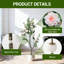 Plant-882282775
