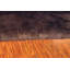 Tapis brun foncé Whisenhunt-43565189