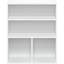 Silliman Bookcase-1855135540