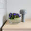 Bellhop Portable Table Lamp by E. Barber and J. Osgerby-50309638