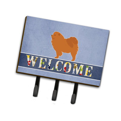Wall Organizer with Key Hooks