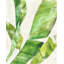 Tropical Vacation II Print by Barclay Butera-30726636-30726643