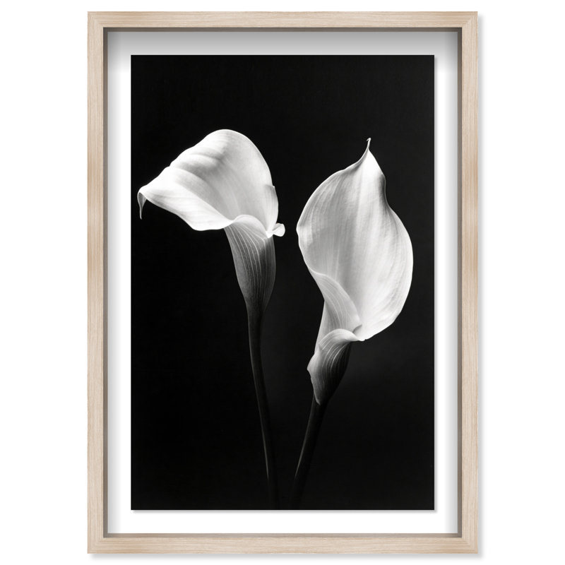 Calla Lily Framed Graphic Art, 16.5" H x 11.5" W, Natural Oak Shadowbox