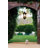 Windsor 4-Light Aluminum Outdoor Chain-Hung Lantern-694532893