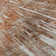 Premium Machine Washable Prisco Terracotta Rug