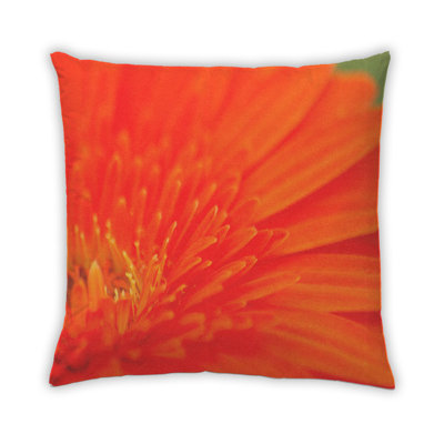 Coussin Color Color