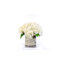 Spring Additions Hydrangea French Label Bouquet