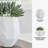 Caythan Vase-100334757