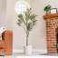150cm Olive Tree Tree in Pot