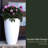 Caprio Tall Resin Pot Planter with Water Reservoir-1685692699-1685692703