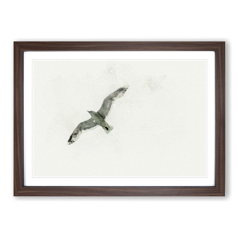 Flying Seagull in Abstract - Framed Print, Walnut, 50cm H x 76cm W x 2cm D