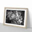 Stripes of the Zebras in Abstract - Framed Print-55730608-55730613