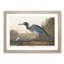 Blue Heron by John James Audubon - Picture Frame Art Print-55545462-55545459