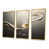 Gold Floater Framed