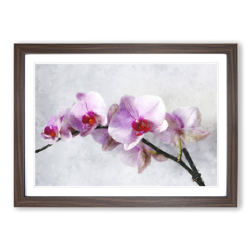 Orchid Flowers Vol.5 - Picture Frame Painting, Walnut Framed, 27cm H x 36cm W x 2cm D