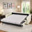 Renato Queen Sleeper Sofa-1165937609