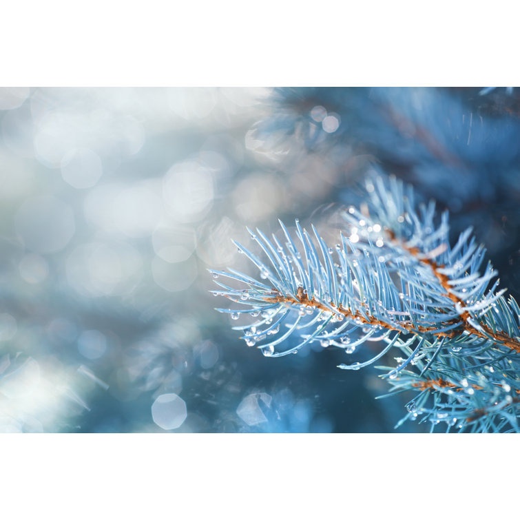 Christmas Tree - Wrapped Canvas Print