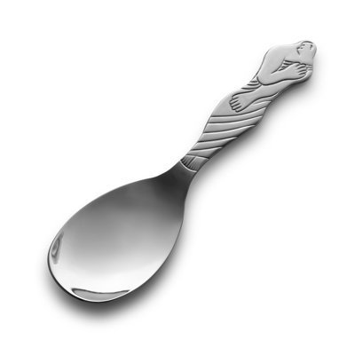 Stainless Steel Serving Spoon