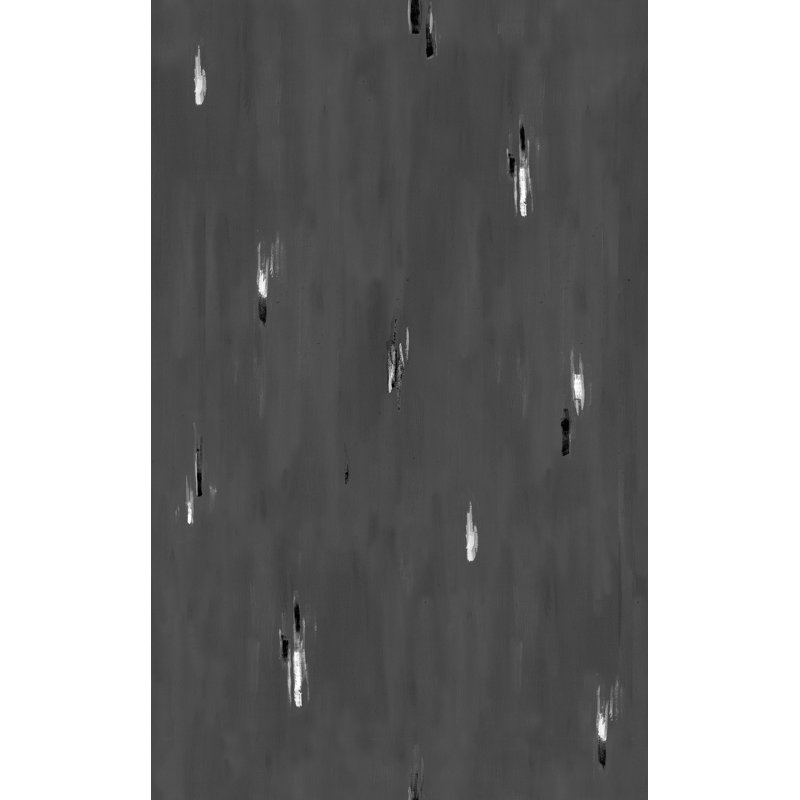 Rouleau de papier peint L 33 pi x l 20,5 po Yuki Osada Skyfall, Noir