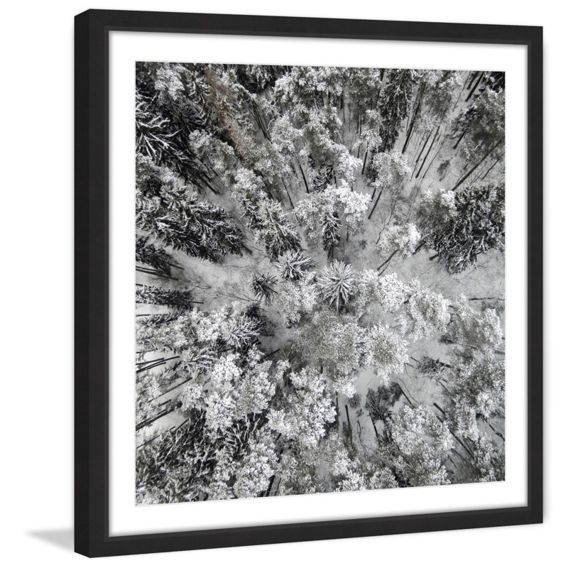 « haut et froid », reproduction de photo encadrée, H 24 po x l 24 po