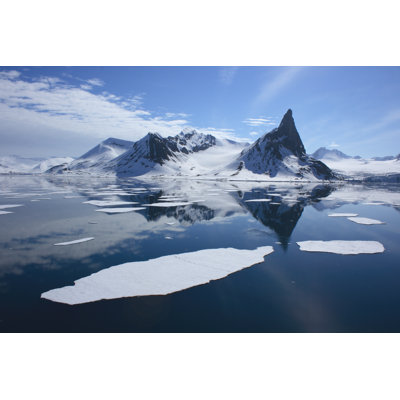 Polar Bear Footprints In The Arctic Ice - Wrapped Canvas Print