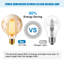2-Pack 6W LED Light Bulbs