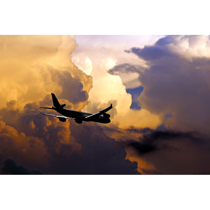 Flying Into The Storm by Cpaulfell - Wrapped Canvas Print, 30cm H x 46cm W x 3.8cm D