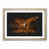 Oak Framed selected