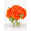 Véritable hydrangée dans un vase-1721809808