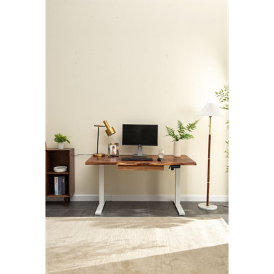 Adjustable Standing Desk with South American Walnut, Live Edge Desk with Drawer Storage
