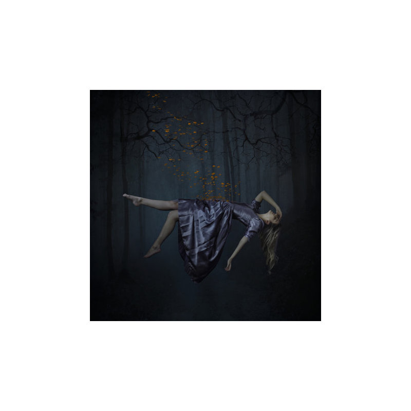 Forest Canvas Print