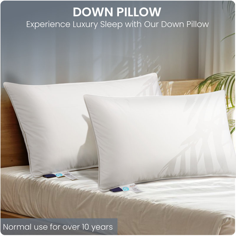 Oreiller canadien en duvet d'oie blanche - 900FP, 800TC, (1 paquet) - Emballage endommagé, sans boîte. Attention.